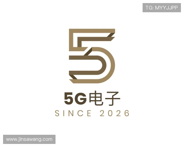 了解5G电子